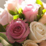 394 グランビュー平松